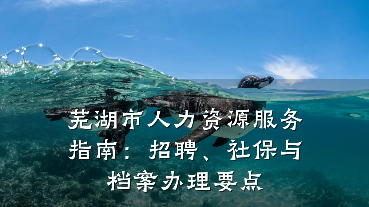 芜湖市人力资源服务指南:招聘、社保与档案办理要点