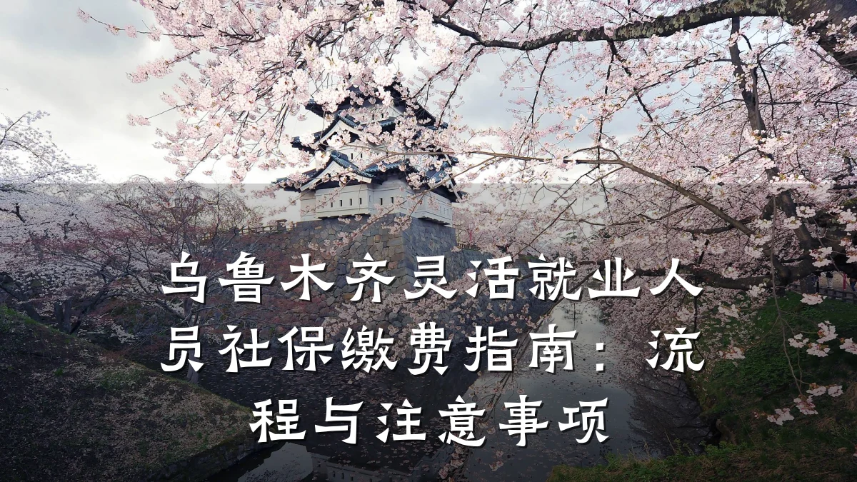 乌鲁木齐灵活就业人员社保缴费指南：流程与注意事项