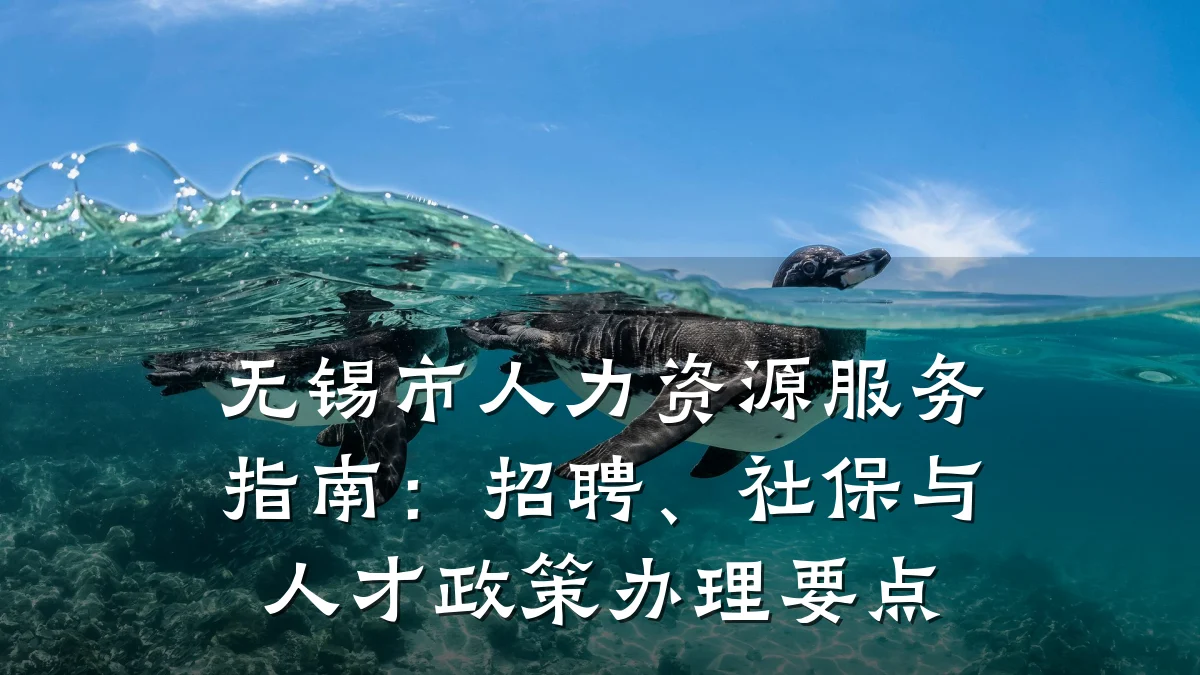 无锡市人力资源服务指南:招聘、社保与人才政策办理要点