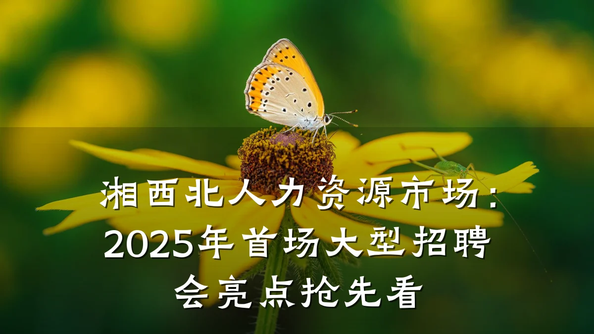 湘西北人力资源市场：2025年首场大型招聘会亮点抢先看