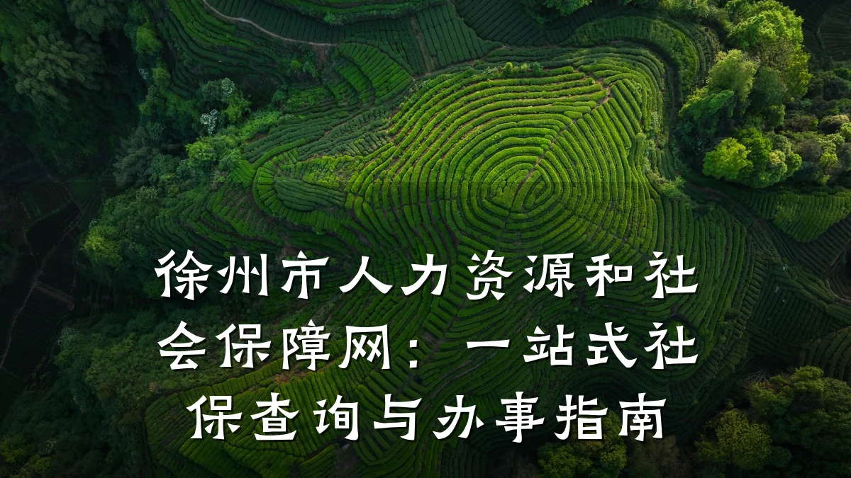 徐州市人力资源和社会保障网：一站式社保查询与办事指南
