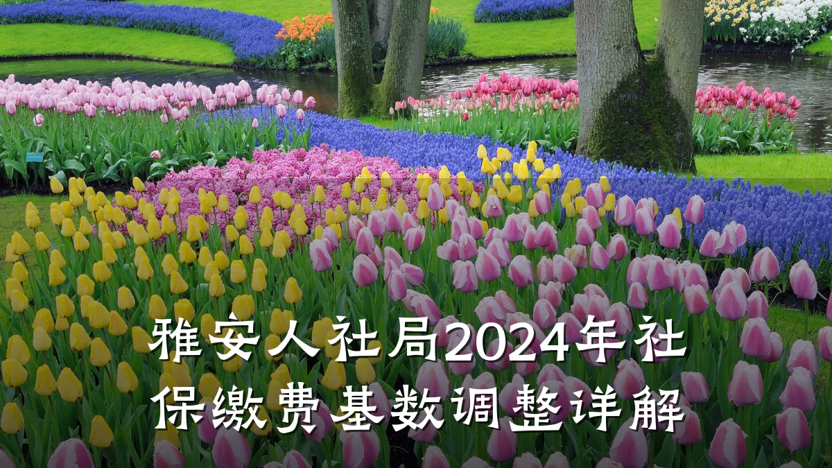 雅安人社局2024年社保缴费基数调整详解