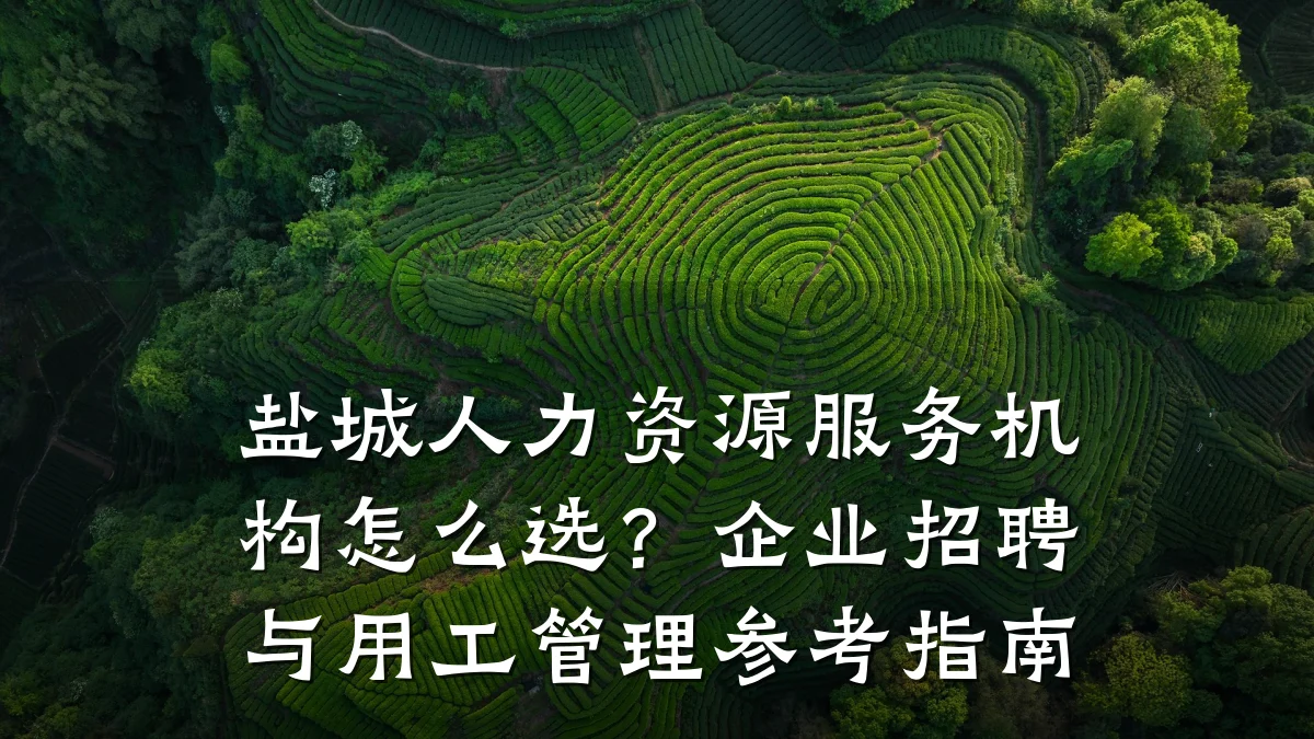 盐城人力资源服务机构怎么选?企业招聘与用工管理参考指南