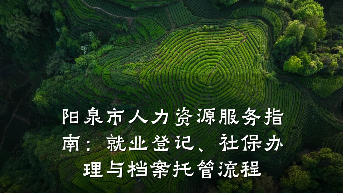 阳泉市人力资源服务指南：就业登记、社保办理与档案托管流程