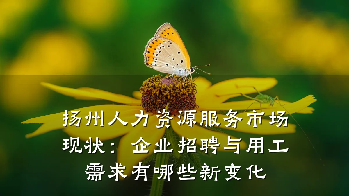 扬州人力资源服务市场现状:企业招聘与用工需求有哪些新变化