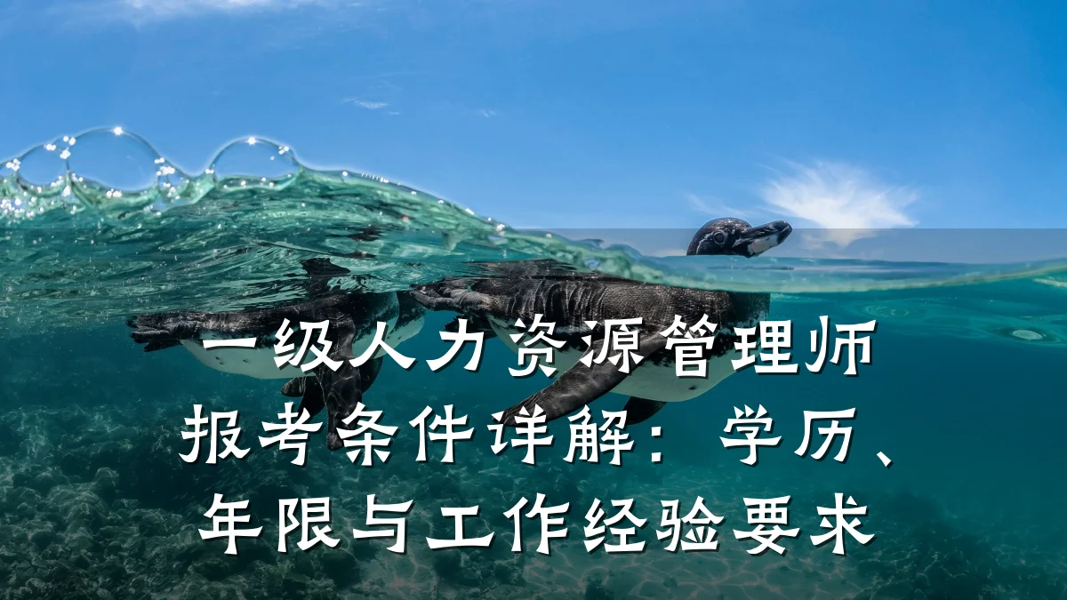 一级人力资源管理师报考条件详解：学历、年限与工作经验要求
