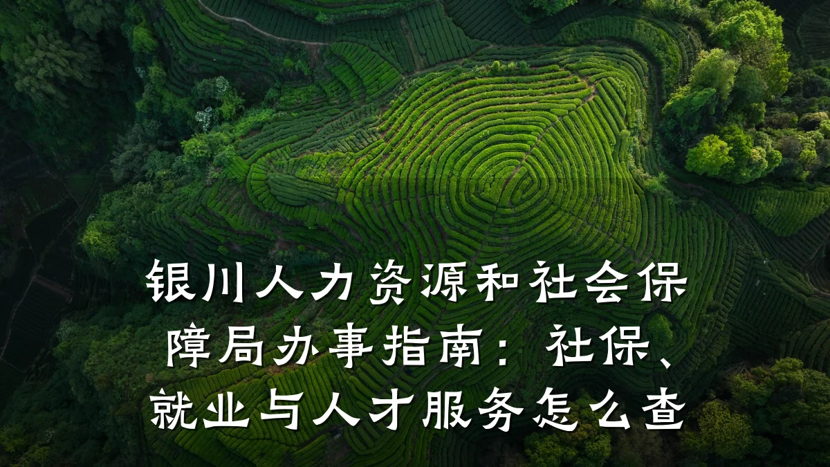 银川人力资源和社会保障局办事指南:社保、就业与人才服务怎么查