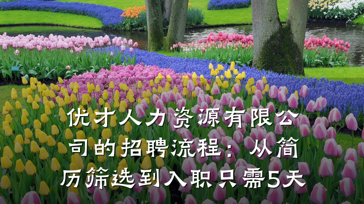优才人力资源有限公司的招聘流程:从简历筛选到入职只需5天