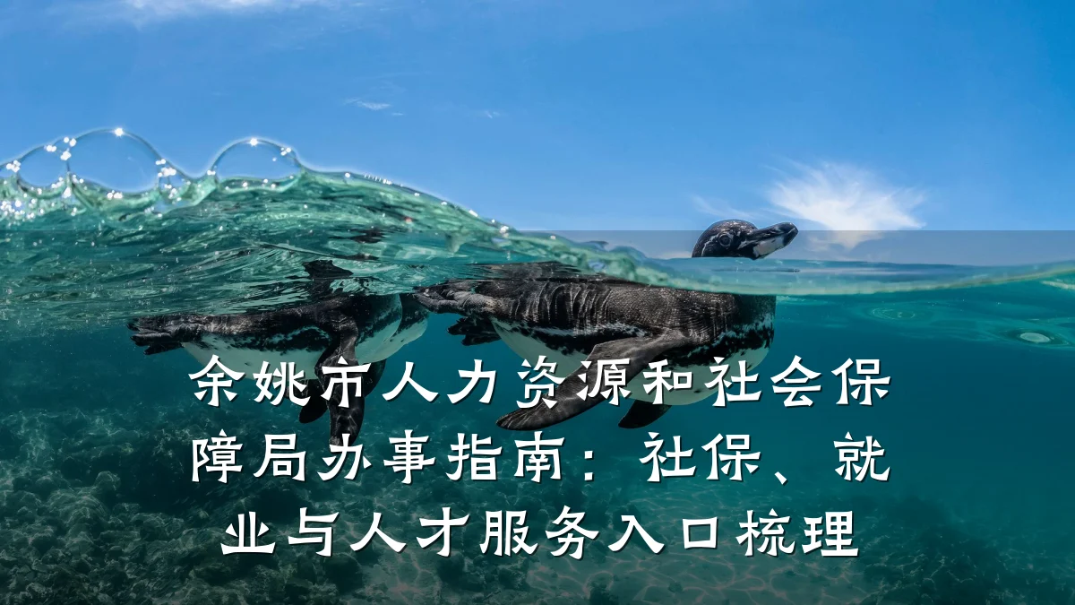 余姚市人力资源和社会保障局办事指南：社保、就业与人才服务入口梳理