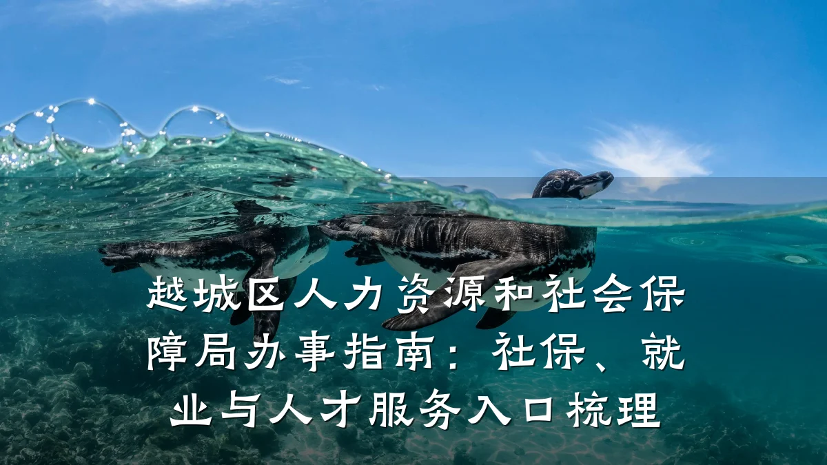 越城区人力资源和社会保障局办事指南：社保、就业与人才服务入口梳理