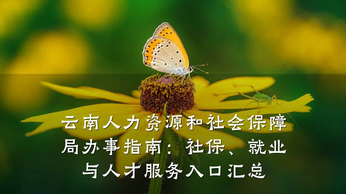 云南人力资源和社会保障局办事指南:社保、就业与人才服务入口汇总