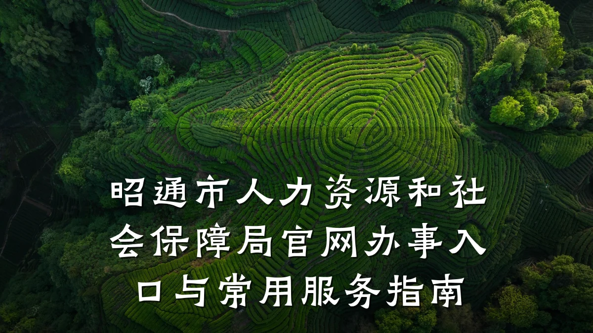 昭通市人力资源和社会保障局官网办事入口与常用服务指南