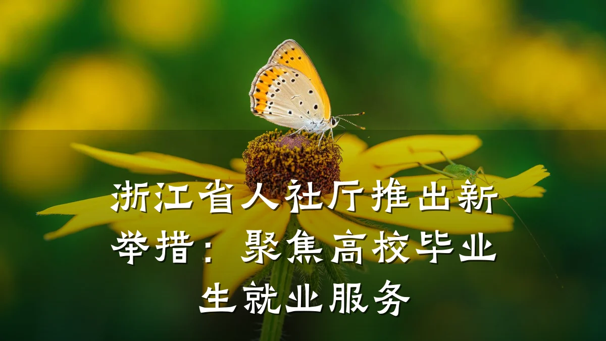 浙江省人社厅推出新举措：聚焦高校毕业生就业服务