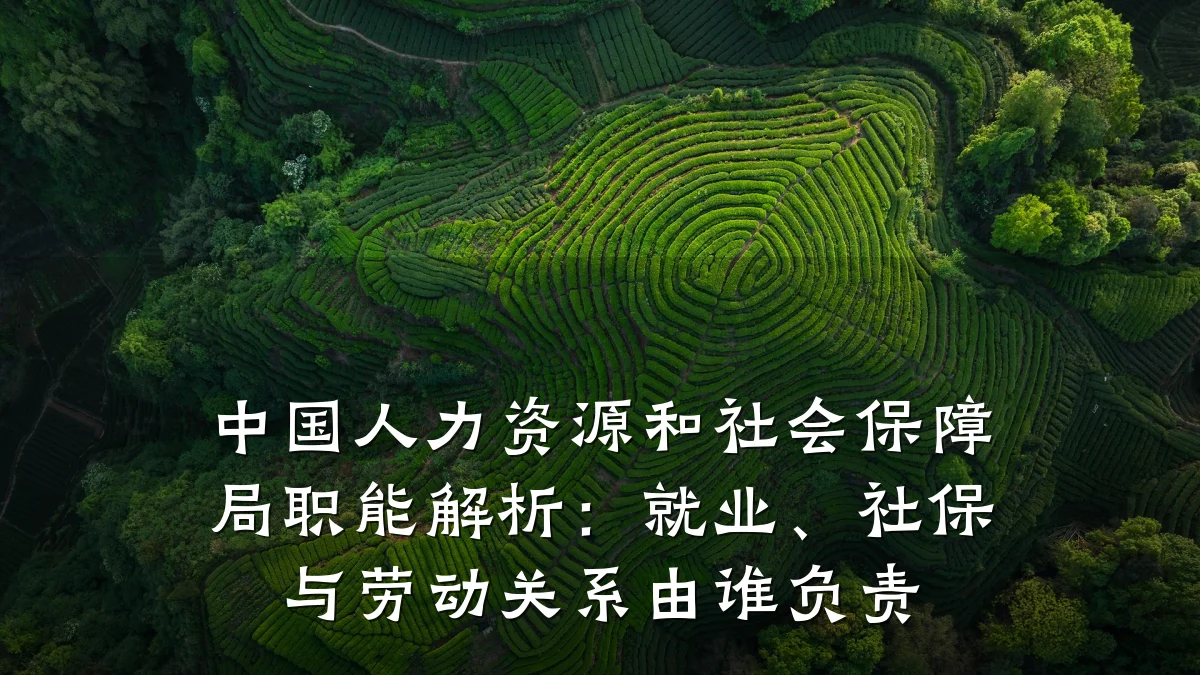 中国人力资源和社会保障局职能解析:就业、社保与劳动关系由谁负责