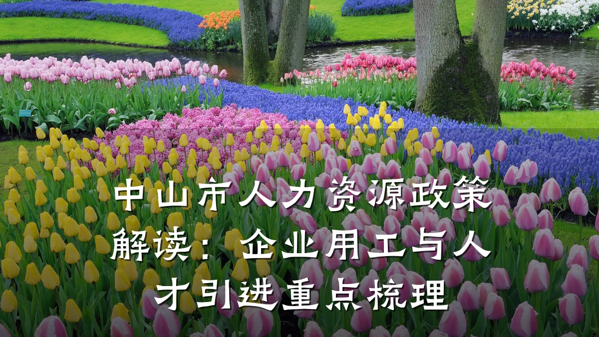 中山市人力资源政策解读：企业用工与人才引进重点梳理