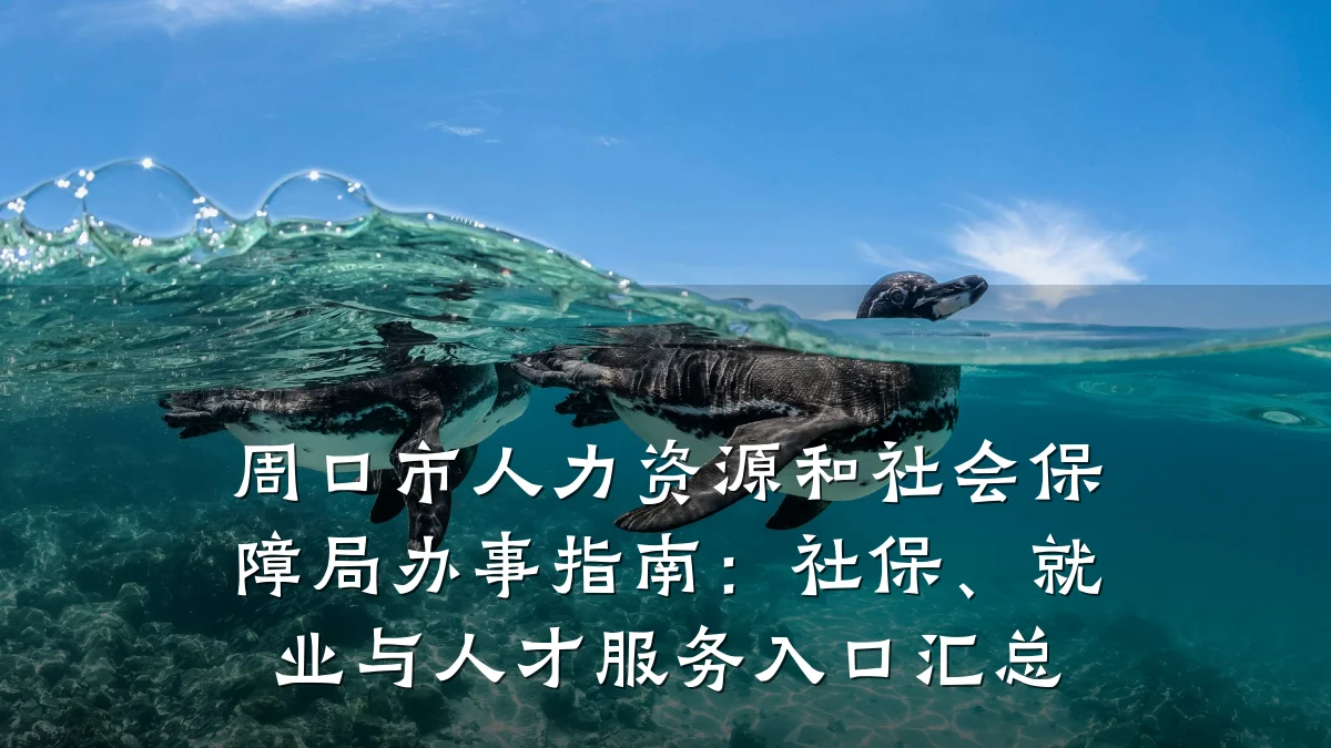 周口市人力资源和社会保障局办事指南:社保、就业与人才服务入口汇总
