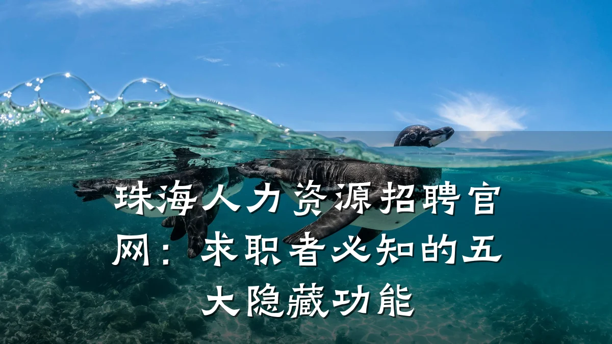 珠海人力资源招聘官网:求职者必知的五大隐藏功能