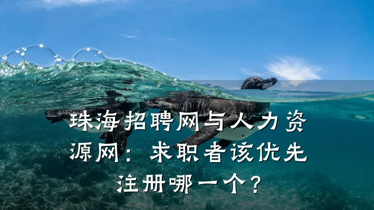 珠海招聘网与人力资源网:求职者该优先注册哪一个?