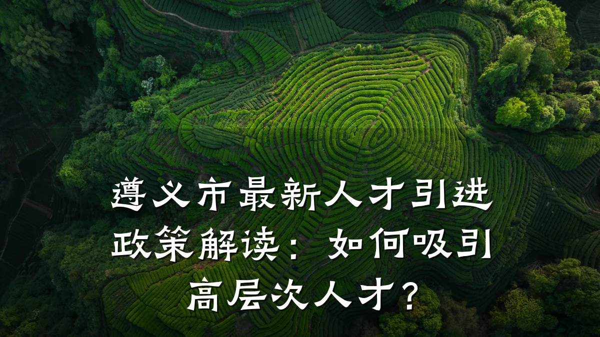 遵义市最新人才引进政策解读：如何吸引高层次人才？