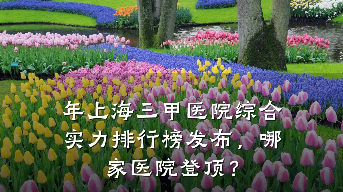 年上海三甲医院综合实力排行榜发布，哪家医院登顶？
