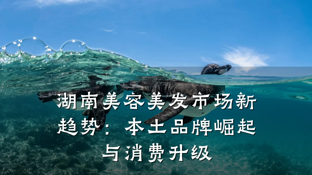 湖南美容美发市场新趋势:本土品牌崛起与消费升级