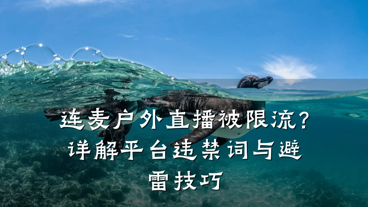 连麦户外直播被限流？详解平台违禁词与避雷技巧