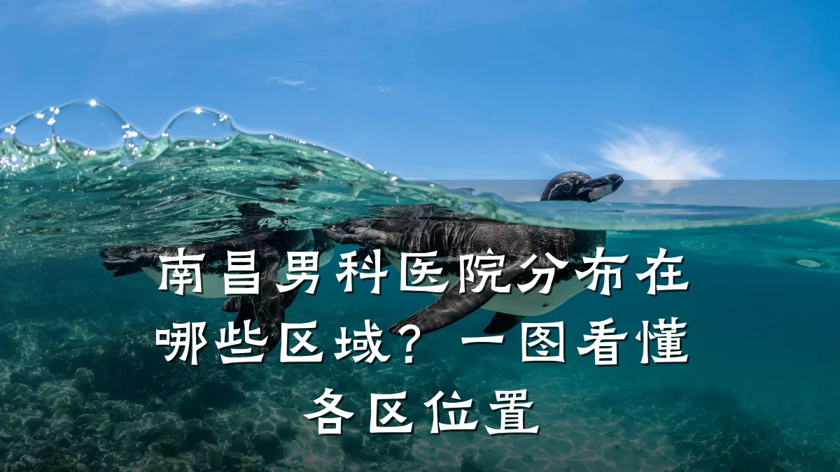 南昌男科医院分布在哪些区域？一图看懂各区位置