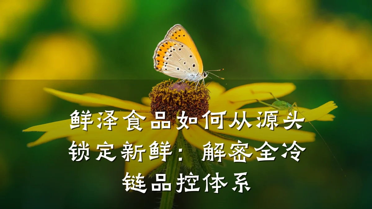 鲜泽食品如何从源头锁定新鲜：解密全冷链品控体系
