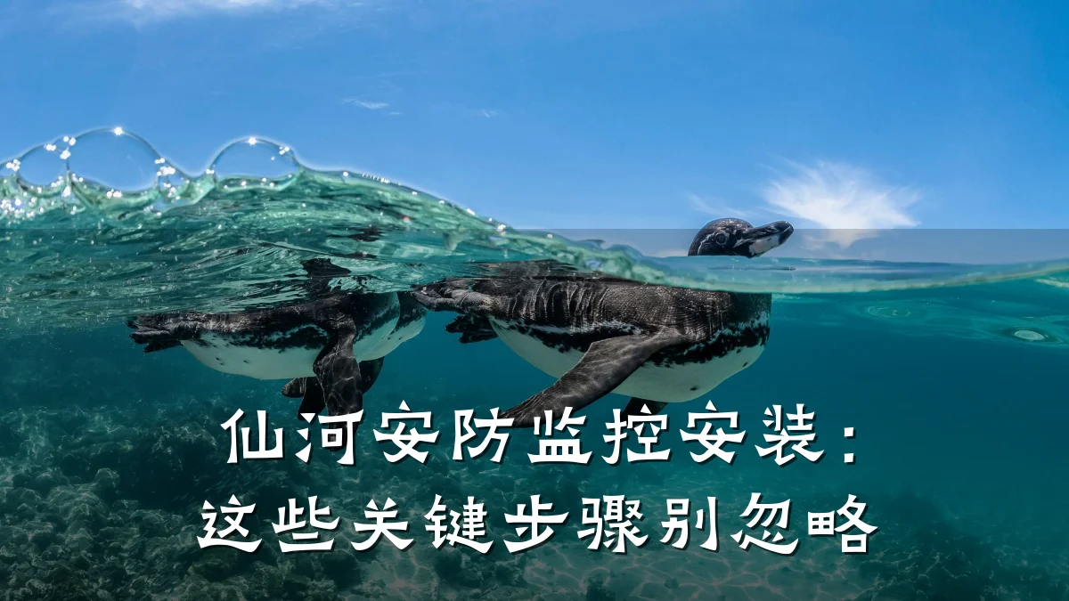 仙河安防监控安装:这些关键步骤别忽略