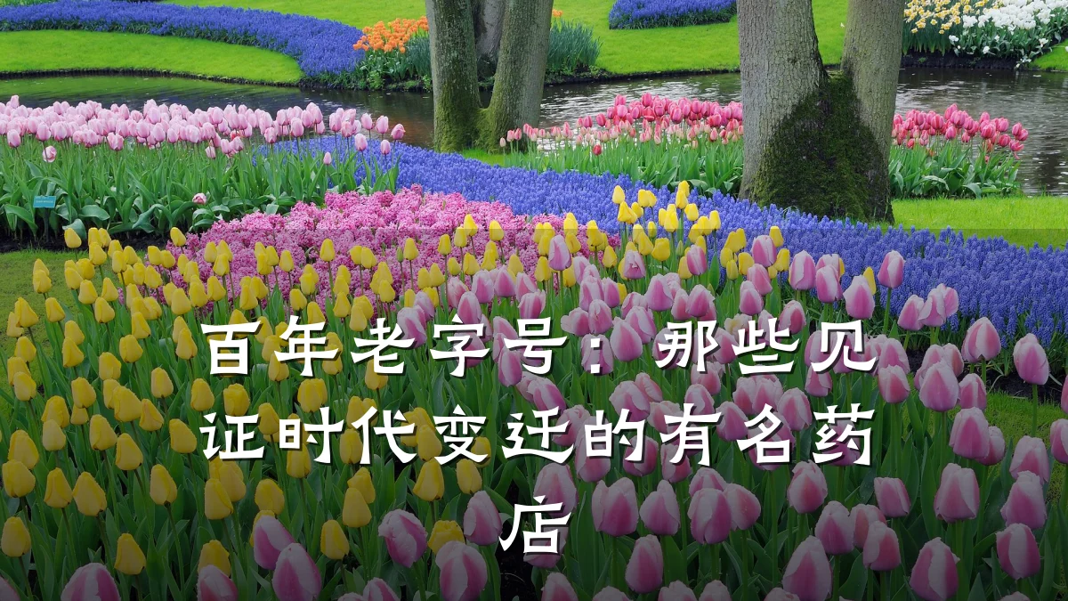 百年老字号：那些见证时代变迁的有名药店