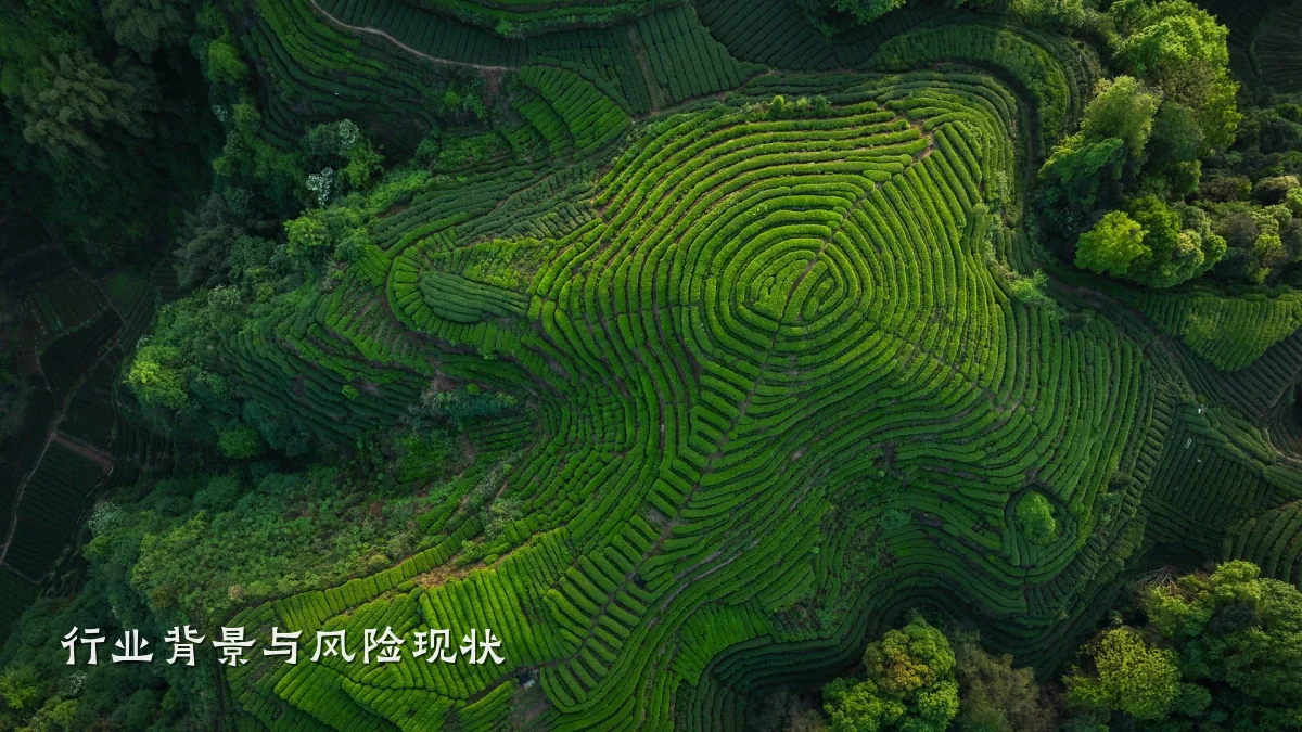 行业背景与风险现状