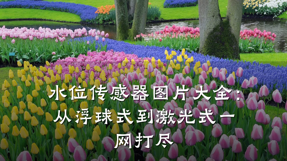 水位传感器图片大全:从浮球式到激光式一网打尽