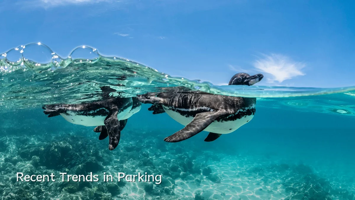 Recent Trends in Parking