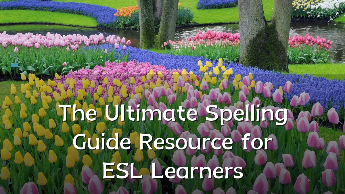The Ultimate Spelling Guide Resource for ESL Learners