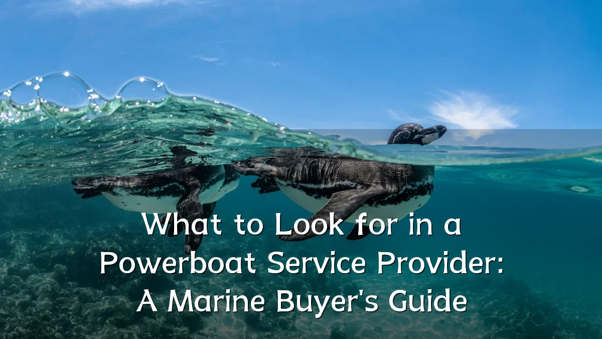 What to Look for in a Powerboat Service Provider: A Marine Buyer's Guide