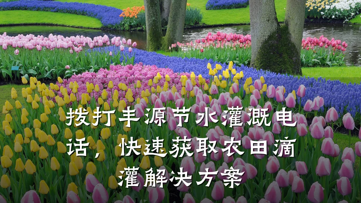 拨打丰源节水灌溉电话,快速获取农田滴灌解决方案
