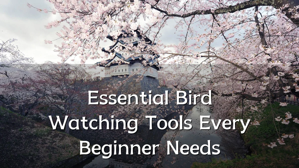 Essential Bird Watching Tools Every Beginner Needs