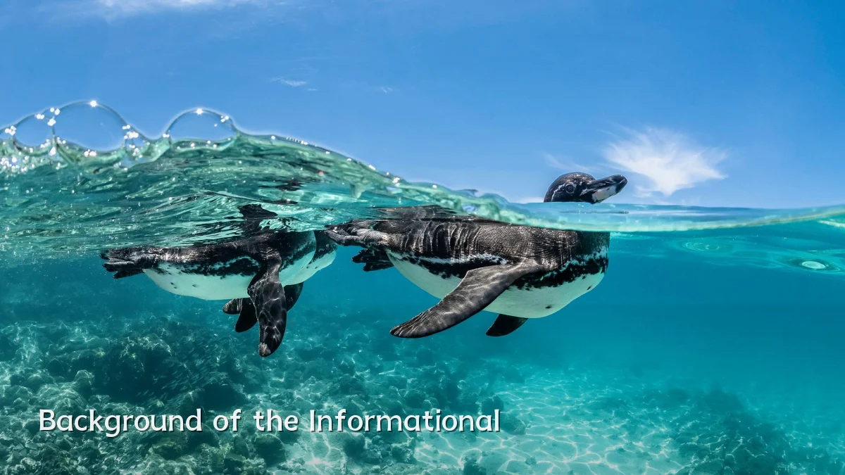 Background of the Informational