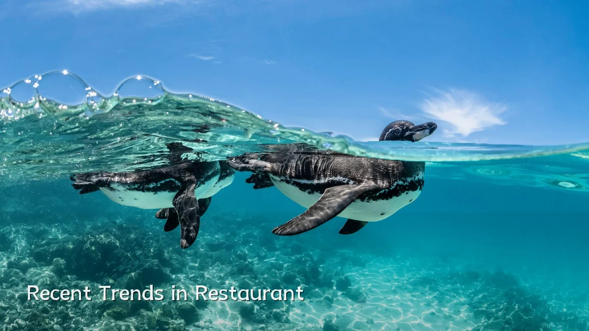 Recent Trends in Restaurant