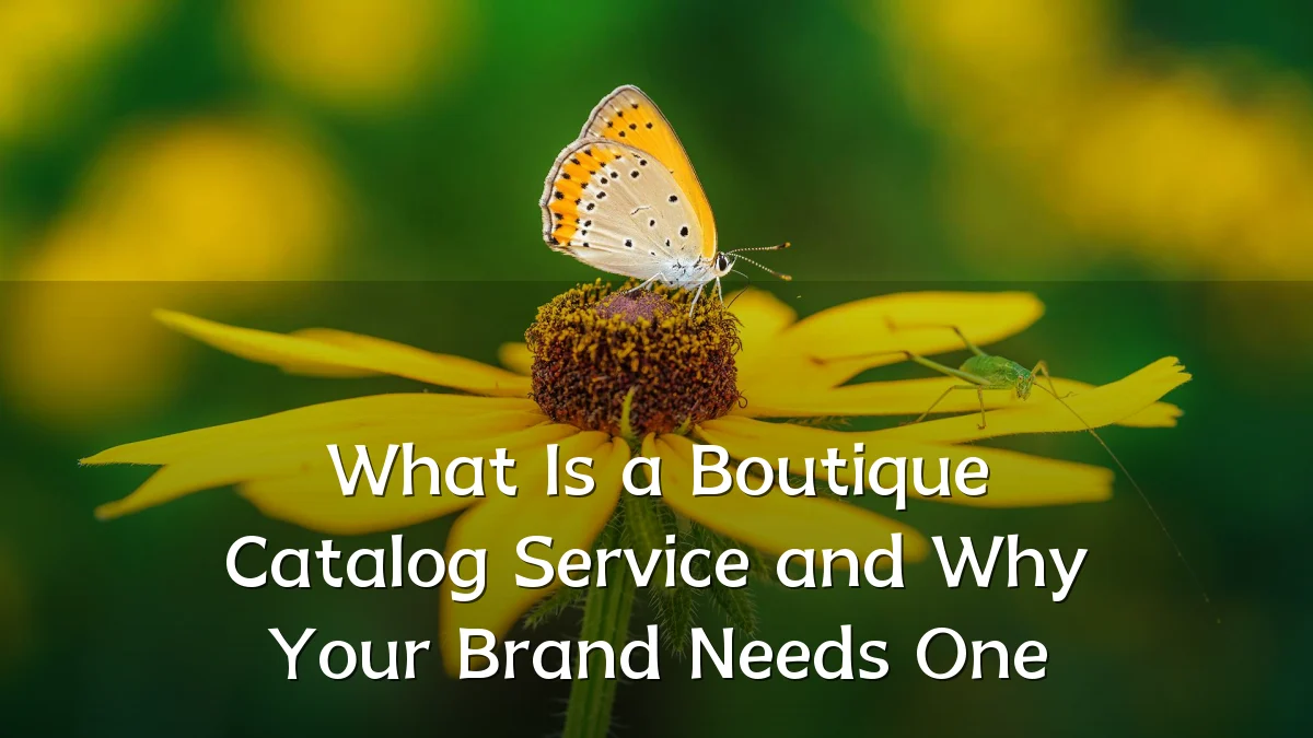 What Is a Boutique Catalog Service and Why Your Brand Needs One
