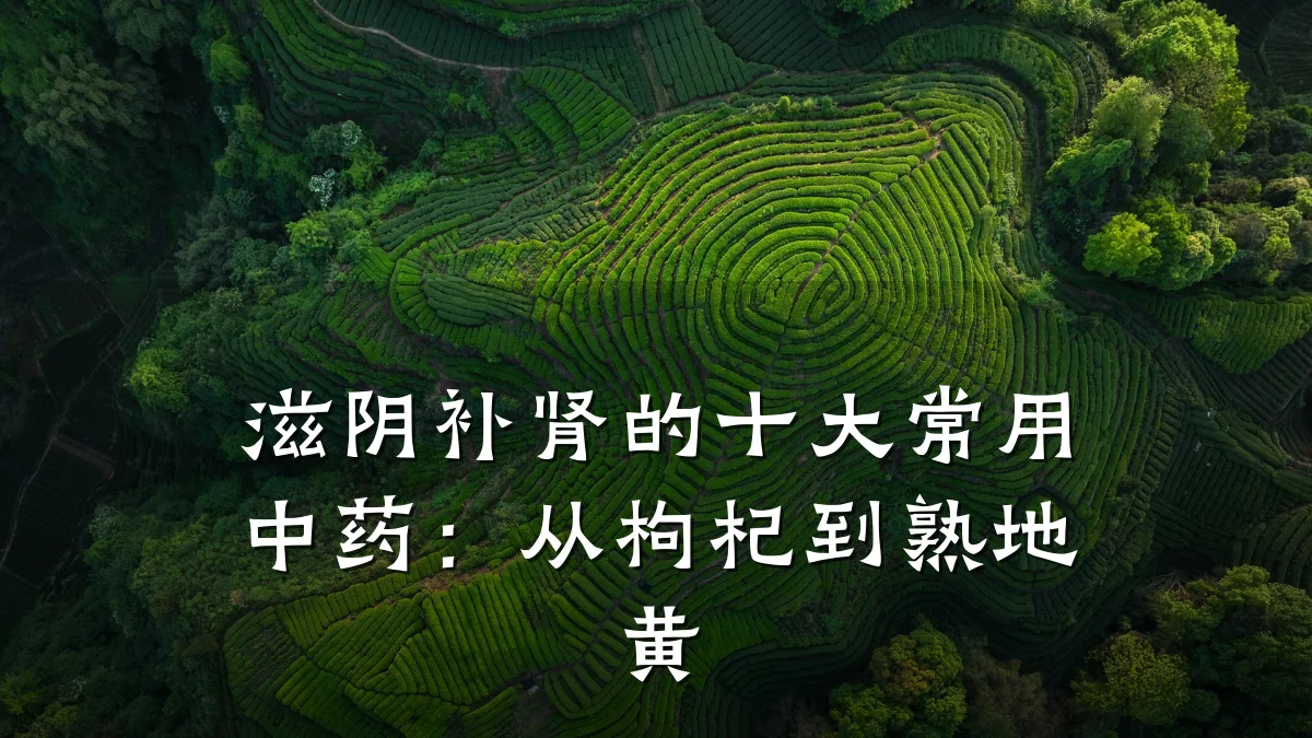 滋阴补肾的十大常用中药:从枸杞到熟地黄