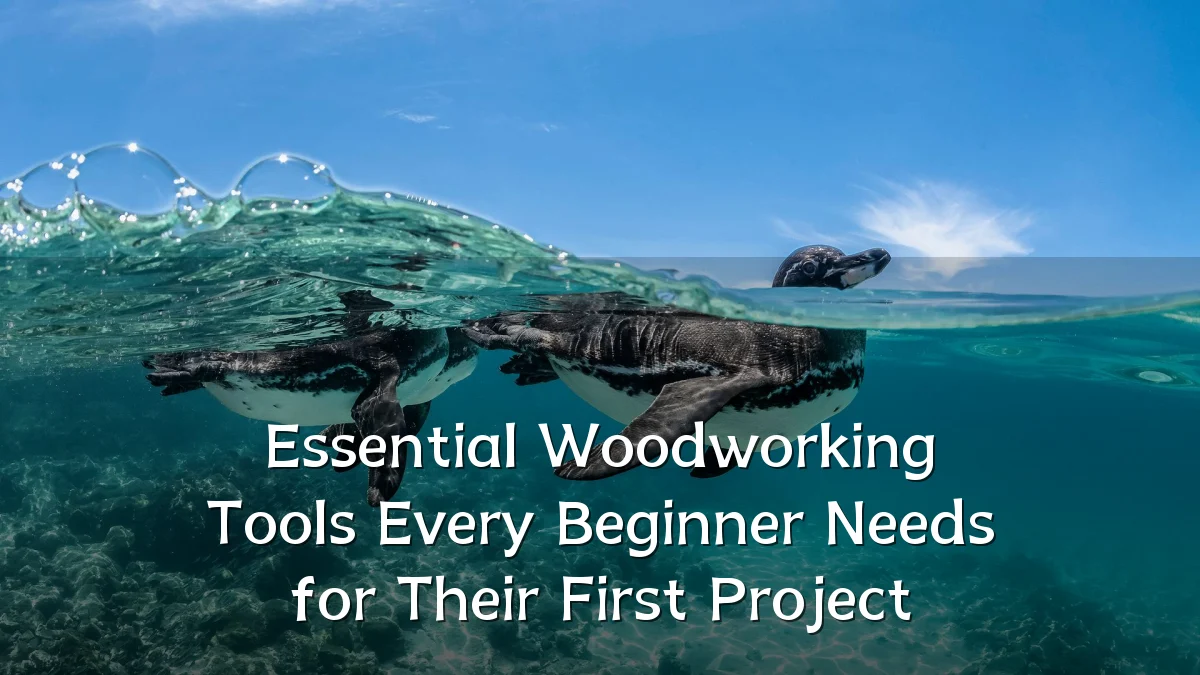 Essential Woodworking Tools Every Beginner Needs for Their First Project