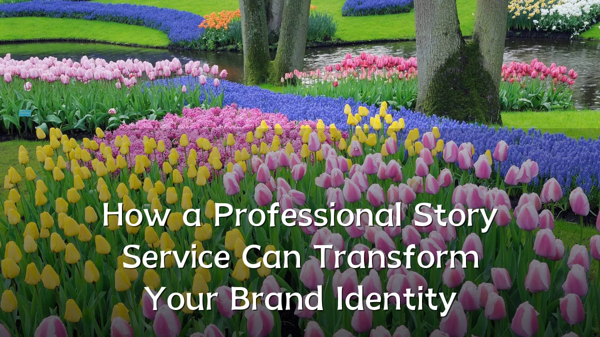 How a Professional Story Service Can Transform Your Brand Identity
