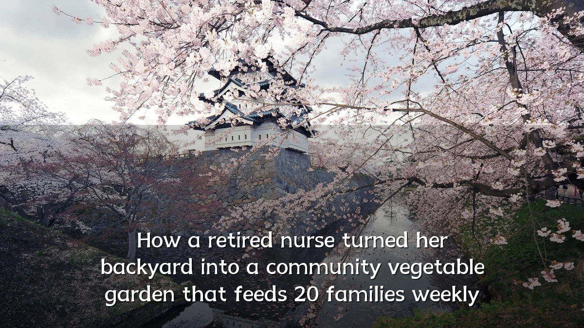 How a retired nurse turned her backyard into a community vegetable garden that feeds 20 families weekly