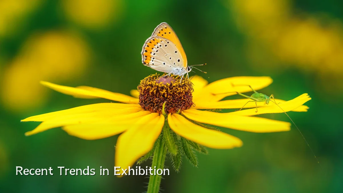 Recent Trends in Exhibition
