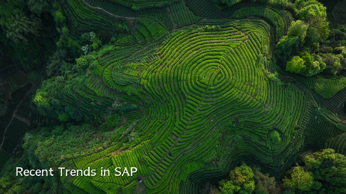 Recent Trends in SAP