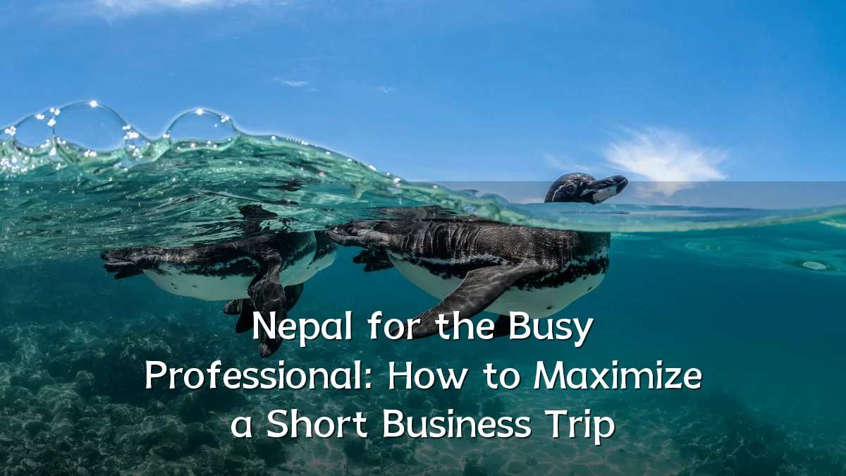 Nepal for the Busy Professional: How to Maximize a Short Business Trip