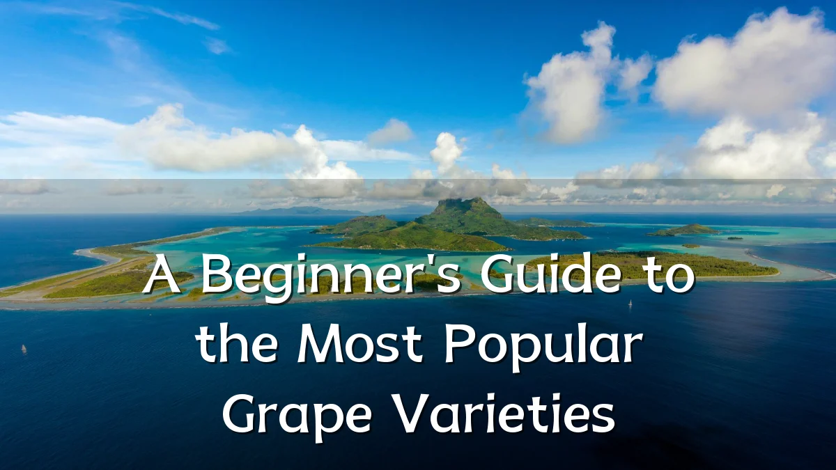 A Beginner's Guide to the Most Popular Grape Varieties