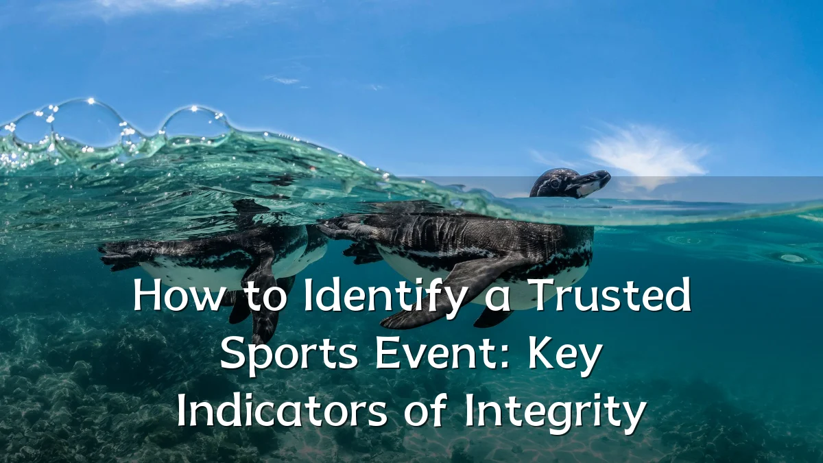 How to Identify a Trusted Sports Event: Key Indicators of Integrity