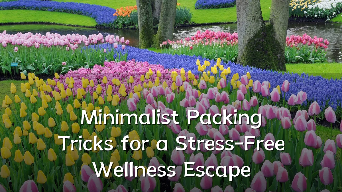 Minimalist Packing Tricks for a Stress-Free Wellness Escape